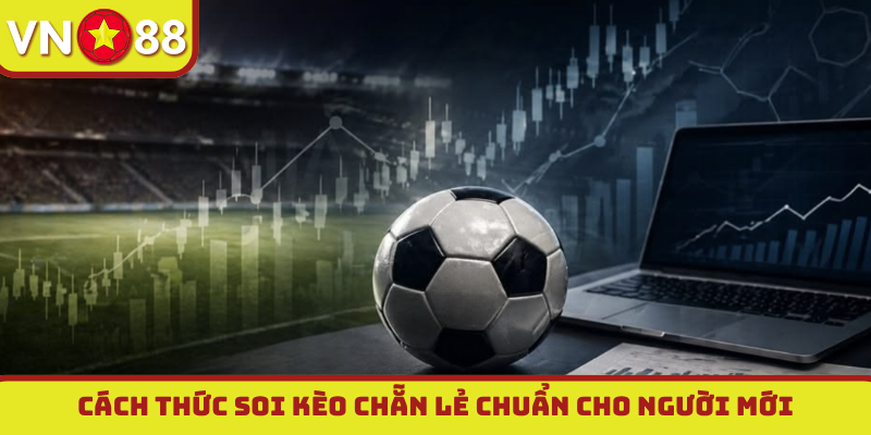 Cách thức soi kèo chẵn lẻ chuẩn cho người mới